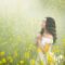 fog-3050078_640