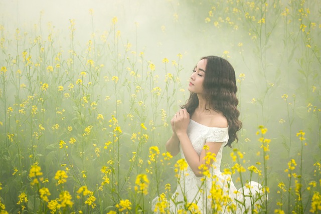 fog-3050078_640